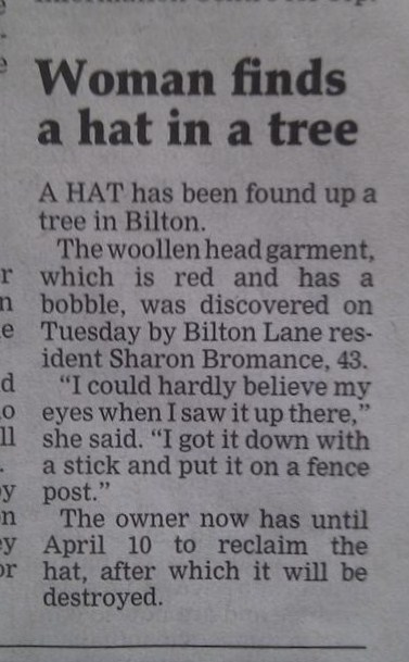 The Real Harrogate - Day 43 - Zandra Wheeler & Steve Toase